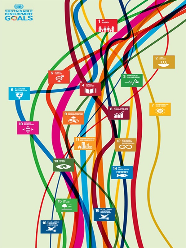 SDG's als raamwerk voor echte vooruitgang