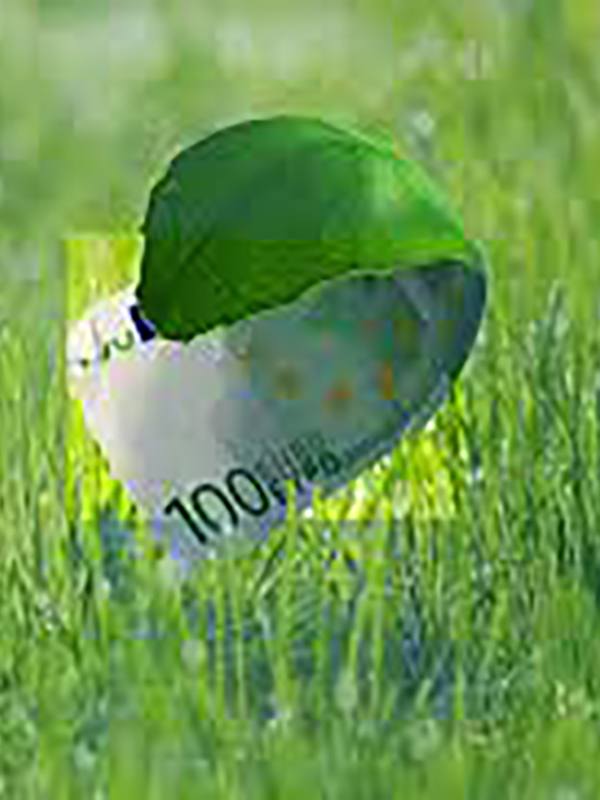 Impact investing: Doing Good resulterend in Doing Well