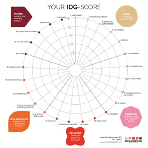 IDG Assessment