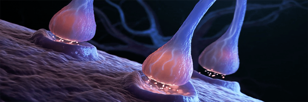 IDG - Innerlijke groei voor systeemverandering