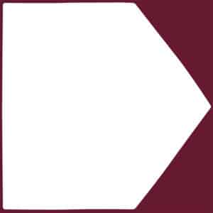 IDG Handelen — dimensie moed en veerkracht | gedragsverandering | Ruud Veltenaar spreker