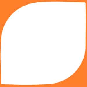 IDG Samenwerken — dimensie samenwerken | gedragsverandering organisaties | Ruud Veltenaar spreker